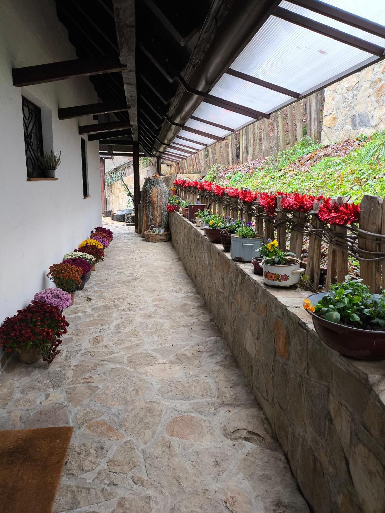 Konak Lecic Trsic Dış mekan fotoğraf